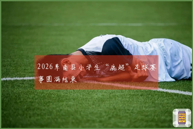 2026阜南县小学生“鹿超”足球赛事圆满结束