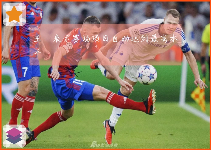 王濛表示赛场项目自动达到最高水平