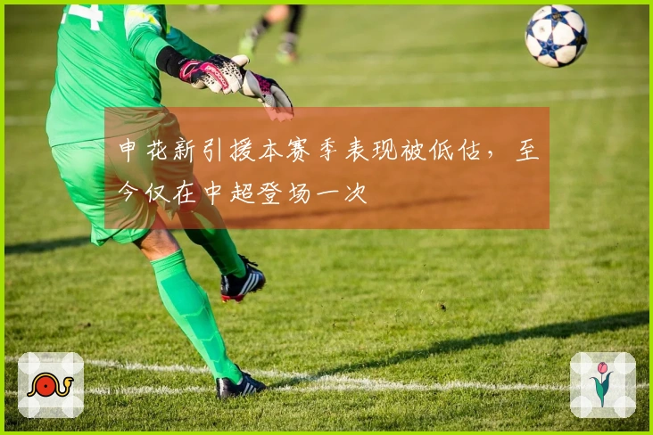 申花新引援本赛季表现被低估，至今仅在中超登场一次