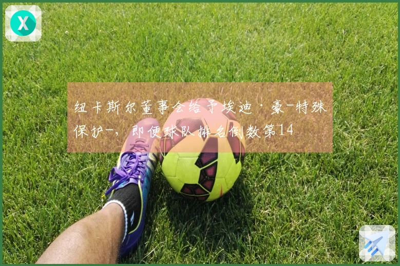 纽卡斯尔董事会给予埃迪·豪-特殊保护-，即便球队排名倒数第14