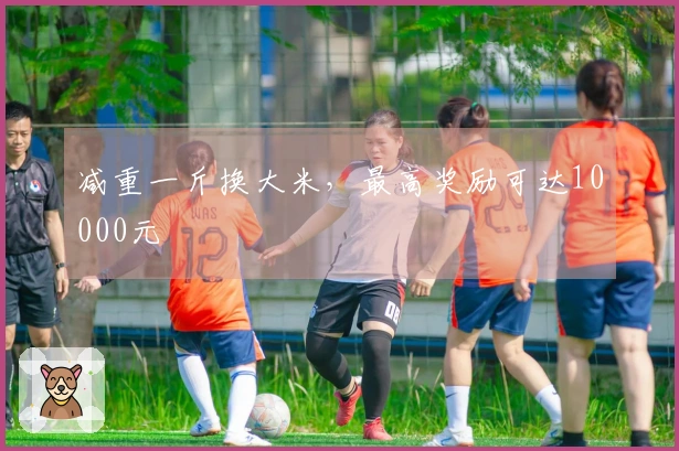 减重一斤换大米，最高奖励可达10000元