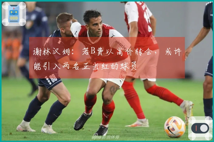 谢林汉姆：若B费以高价转会，或许能引入两名正当红的球员